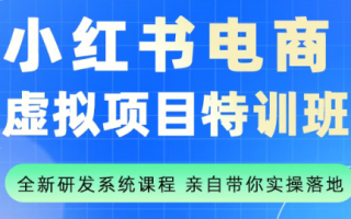 陆明明·小红书虚拟项目特训班(更新9月)