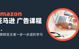 amazon亚马逊 广告课程：从青铜至王者一步一步进阶学习(16节