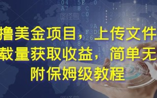 最新撸美金项目，上传文件，通过下载量获取收益，简单无脑，附保姆级教程【揭秘】
