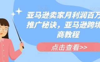 亚马逊卖家月利润百万的推广秘诀，亚马逊跨境电商教程