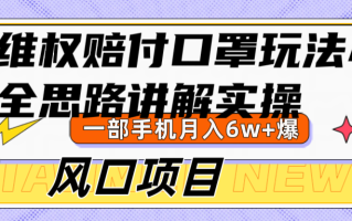 维权赔付口罩玩法，小白也能月入6w+，风口项目实操