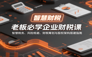 老板必学企业财税课：智慧税务、风险规避、财税筹划与股权架构搭建指南