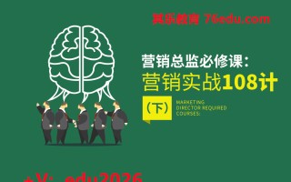 营销总监必修课：营销实战108计-下（13集） mp4高清无水印视频教程网盘免费下载