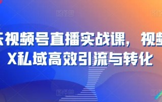 21天视频号直播实战课，视频号X私域高效引流与转化