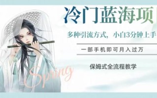 冷门蓝海项目，操作简单，小白3分钟上手，多种引流方式，保姆式全流程教学【揭秘】