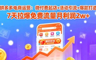 拼多多电商运营：微付费起店+活动引流+爆款打造 7天拉爆免费流量月利润2w+