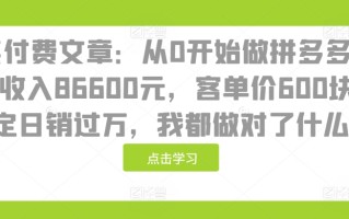 某付费文章：从0开始做拼多多18天收入86600元，客单价600块稳定日销过万，我都做对了什么?