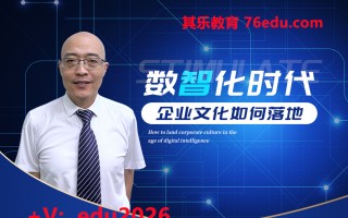 数智化时代企业文化如何落地（2集） mp4高清无水印视频教程网盘免费下载