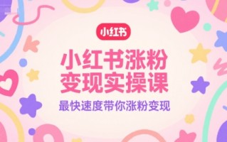 小红书涨粉变现实操课，最快速度带你涨粉变现