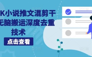 海外TK小说推文混剪干货，无脑搬运深度去重技术