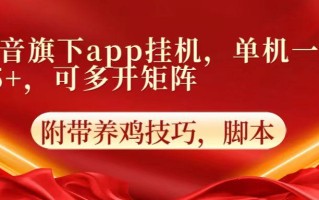 抖音旗下app自动挂机，单机一天收益25+，可多开矩阵