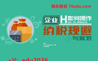 企业如何操作纳税规避与筹划（18集） mp4高清无水印视频教程网盘免费下载