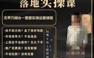 老肥电商·2024淘系运营从0-1落地实操课，无界万相台一整套实操运营课程