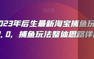 2023年后生最新淘宝捕鱼玩法2.0，捕鱼玩法整体思路详解