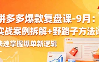 拼多多爆款复盘课-9月：实战案例拆解+野路子方法论，快速掌握爆单新逻辑