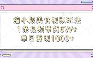 缩小版美食视频玩法，1条视频带货6W+，单日变现1k