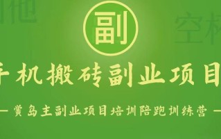 手机搬砖小副业项目训练营1.0，能用手机做的简单小副业