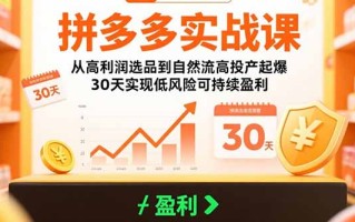 拼多多实战课：从高利润选品到自然流高投产起爆 30天实现低风险可持续盈利