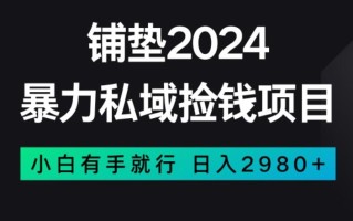 暴力私域捡钱项目，小白无脑操作，日入2980【揭秘】