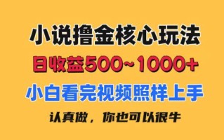 小说撸金核心玩法，日收益500-1000+，小白看完照样上手，0成本有手就行