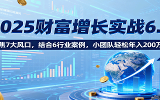 2025财富增长实战6.0，聚焦7大风口，结合6行业案例，小团队轻松年入200万！