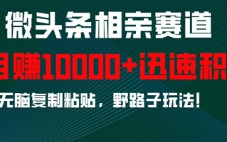 微头条相亲赛道，迅速积累，无脑复制粘贴，野路子玩法，月入1w