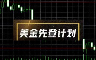 美金先登计划(2025黑马项目