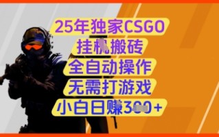 25年独家CSGO挂G搬砖，全自动操作，无需打游戏，小白日入3张+【揭秘】