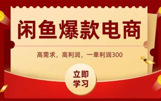 闲鱼卖爆款数码产品，当天上架即可出单，一天利润1000