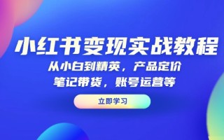 小红书变现实战教程：从小白到精英，产品定价，笔记带货，账号运营等
