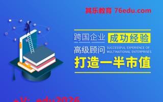 跨国企业成功经验-高级顾问打造一半市值（6集）