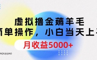(9864期)虚拟撸金薅羊毛，简单操作，小白当天上手，月收益5000+