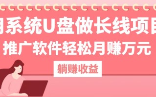 用系统U盘做长线项目，推广软件轻松月赚万元