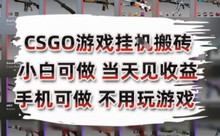 CSGO游戏挂G搬砖，小白纯手机即可操作，不用电脑打游戏，日入3张+，副业网创项目【揭秘】