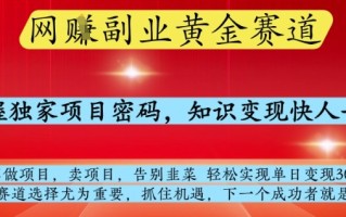 网创副业黄全赛道，掌握独家项目密码，知识变现快人一步，告别韭菜轻松实现单日变现1k+【揭秘】