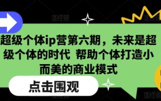 超级个体ip营第六期，未来是超级个体的时代 帮助个体打造小而美的商业模式