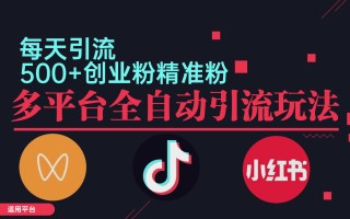 小红书抖音视频号截流自热全平台引流打法，全自动引流【日引2000+精准…