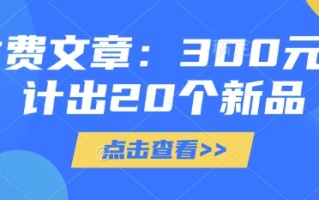 付费文章：300元设计出20个新品