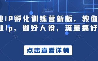 商业IP孵化训练营新版，教你做商业Ip，做好人设，流量搞好钱