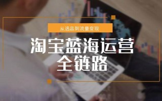 淘宝蓝海运营全链路，从选品到流量变现，小类目突围完整方案