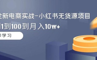 2024全新电商实战-小红书无货源项目：从0到1到100到月入10w+