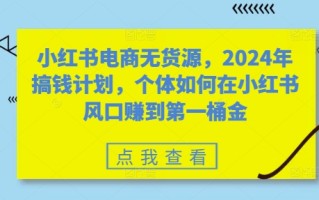 小红书电商无货源，2024年搞钱计划，个体如何在小红书风口赚到第一桶金