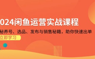 2024闲鱼运营实战课程：揭秘养号、选品、发布与销售秘籍，助你快速出单