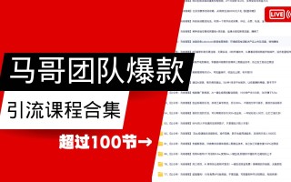 马哥团队【122节】最全项目爆款引流课程合集【持续更新】