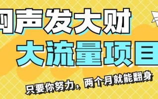 闷声发大财，大流量项目，月收益过3万，只要你努力，两个月就能翻身