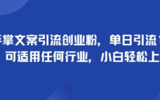 手掌文案引流创业粉，单日引流100+，可适用任何行业，小白轻松上手