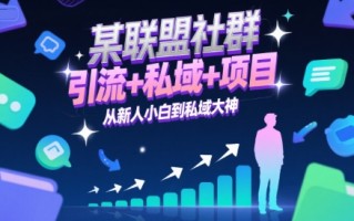 某联盟社群，引流+私域+项目，从新人小白到私域大神