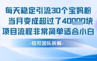 每天稳定引流30个人 当月变成超过了4个W项目流程非常简单适合小白