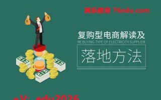 复购型电商解读及落地方法（3集） mp4高清无水印视频教程网盘免费下载