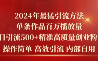 2024年最猛暴力引流方法，单条作品百万播放 单日引流500+高质量精准创业粉